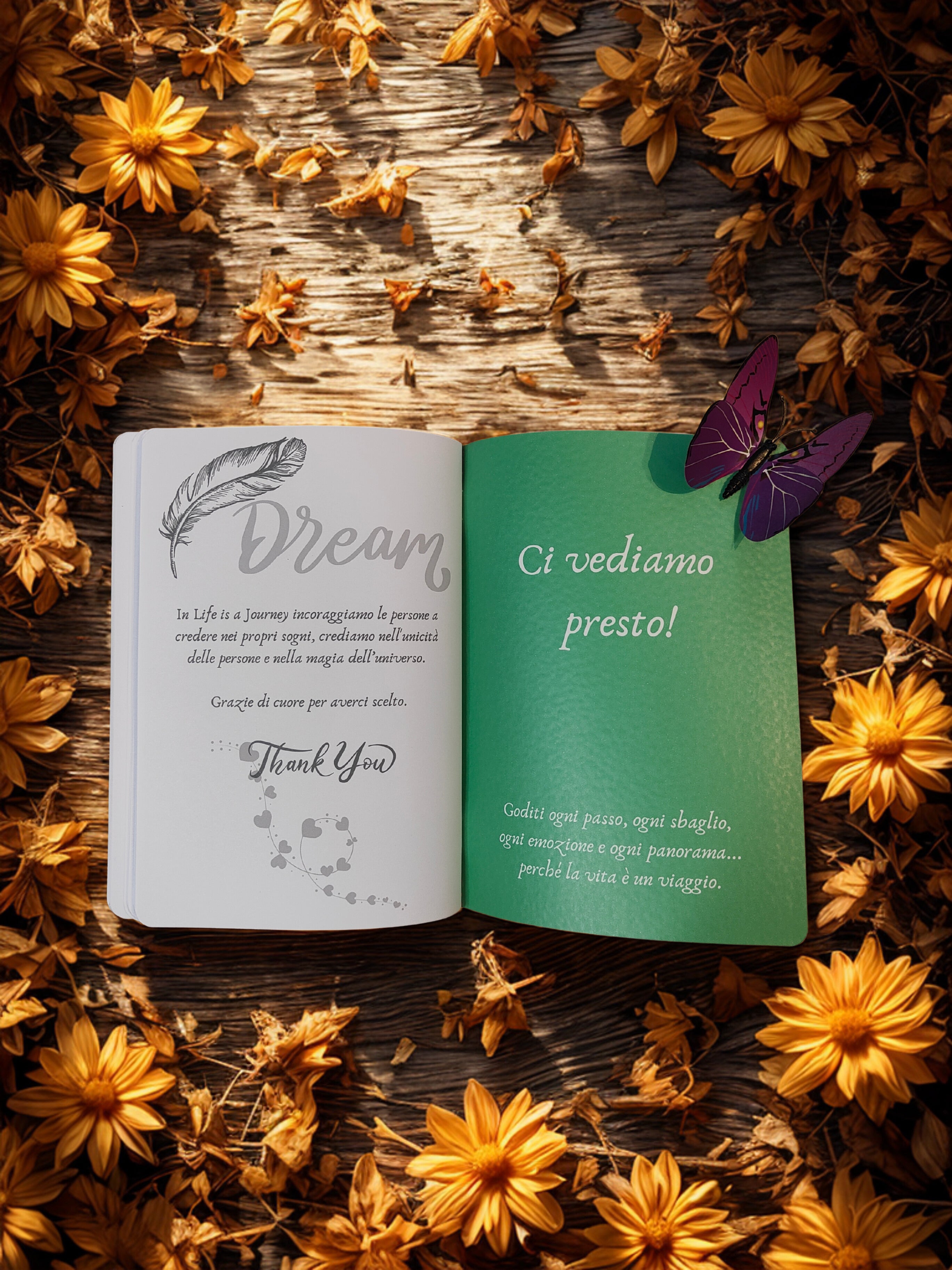 Quaderno artigianale illustrato "Una vita a colori" - energia, rinascita e armonia interiore